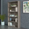 65.984" 5 Shelf Bookcase Hudson Elm - Sauder