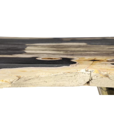 Contemporary Petrified Wood Console Table Brown - Olivia & May - Image 4