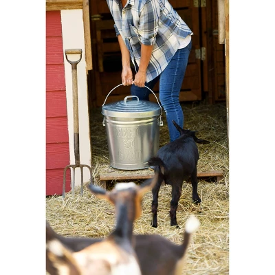 Behrens 6gal Embossed "Feed & Seed" Galvanized Steel Locking Lid Storage Can Silver - Image 3